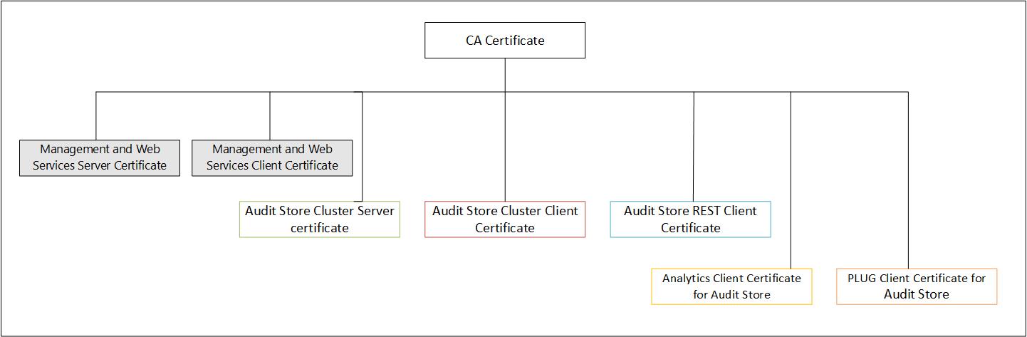 Audit Store Certificates
