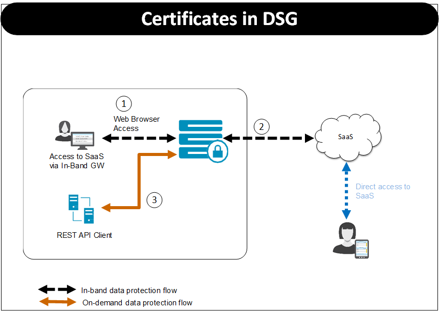 Certificates in DSG