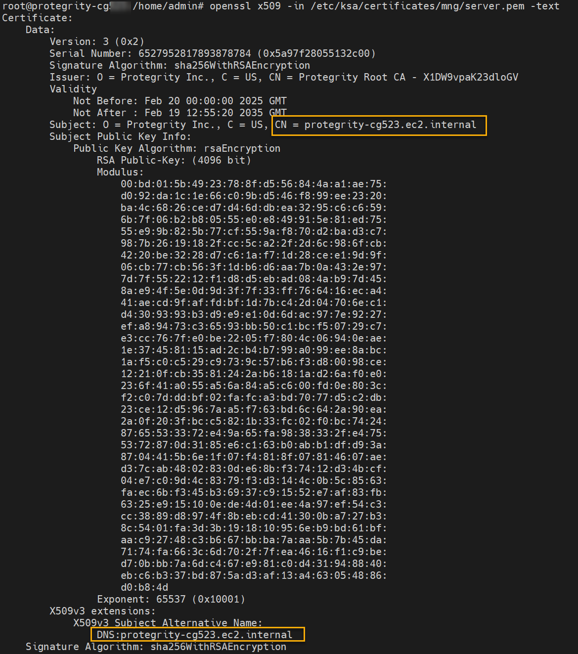 DSG Server Certificate