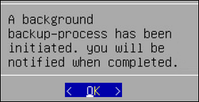 Backup Confirmation Screen