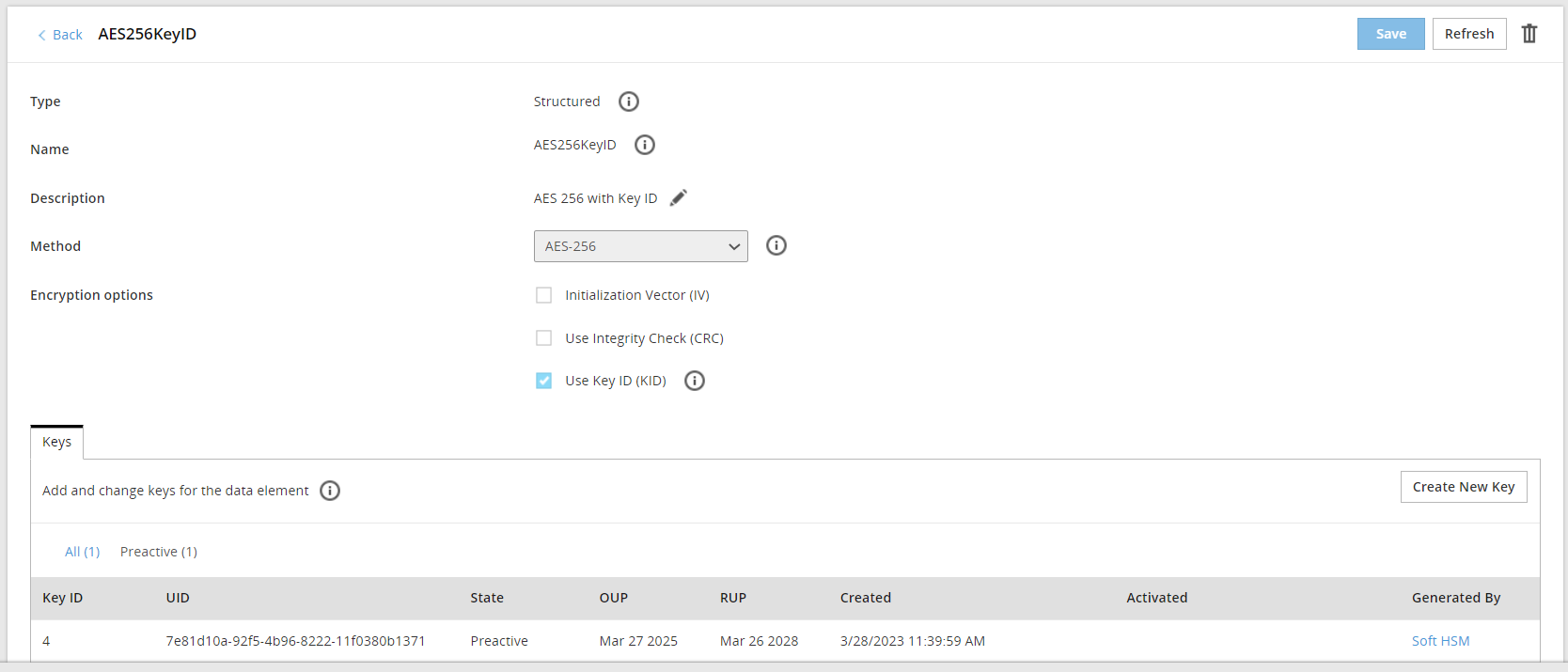 Data Element Key Detailed Information