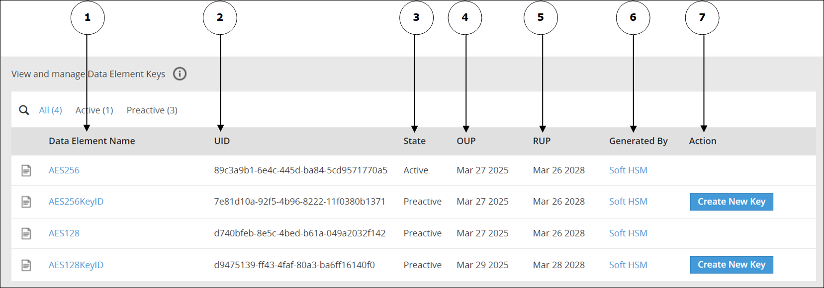 Figure 2: Protegrity Key Management Workflow – Data Element Keys