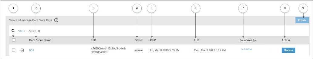 Figure 2: Protegrity Key Management Workflow – DSKs