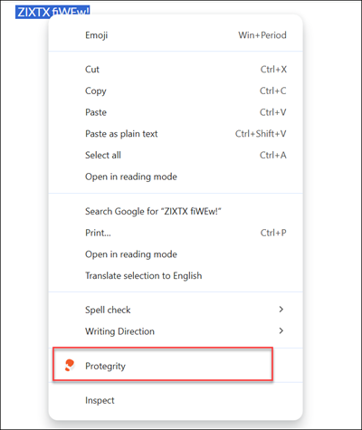 Select Protegrity Browser Protector Extension