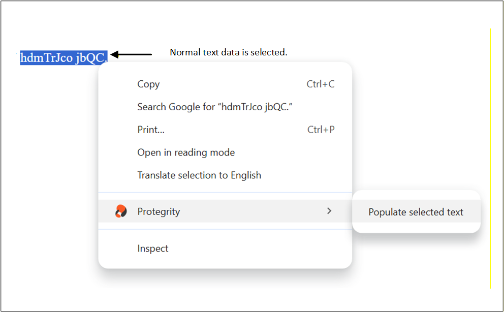 Select Protegrity Browser Protector Extension