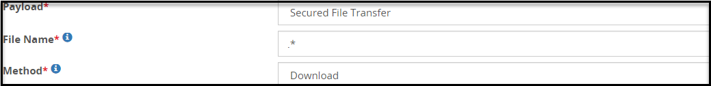 Secured File Transfer Payload