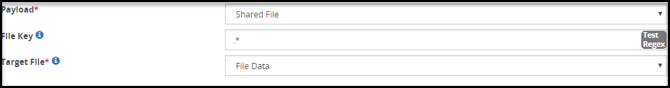 Shared File Payload