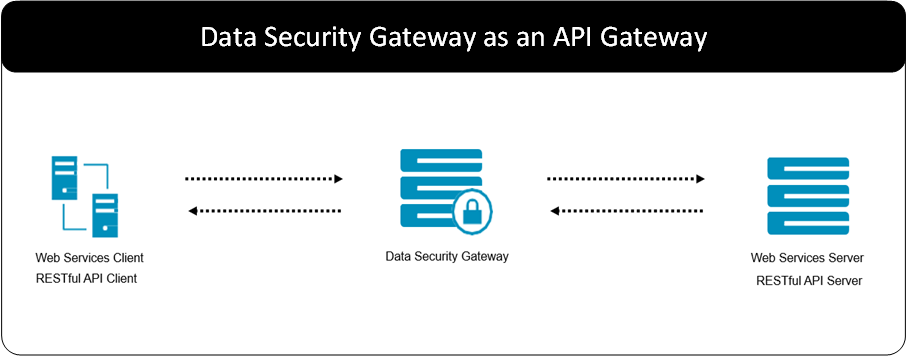 DSG as an API gateway