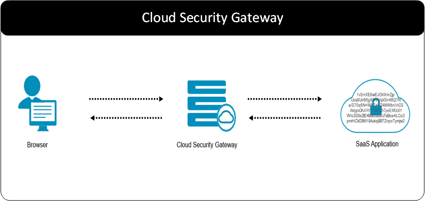 DSG with SaaS application