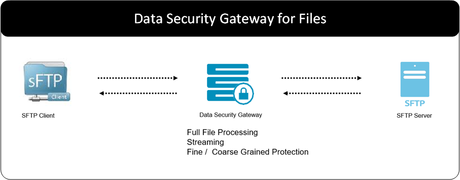 DSG for Files